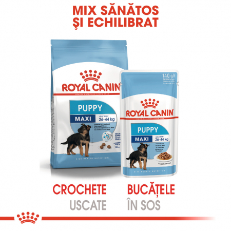 Royal Canin Maxi Puppy, bax hrană umedă câini junior, (în sos) 10 x 140 g [4]
