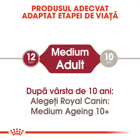 Royal Canin Medium Adult, bax hrană umedă câini, (în sos) 10 x 140 g [1]