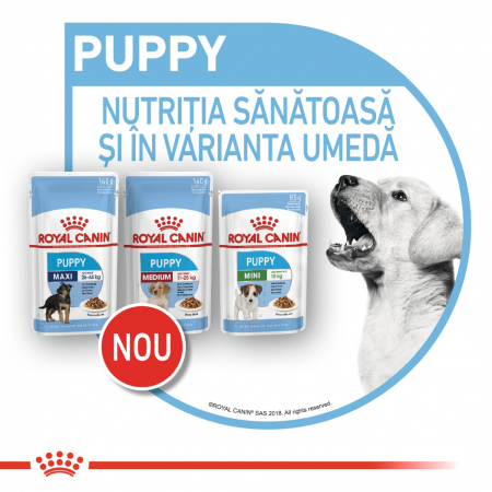 Royal Canin Medium Puppy, plic hrană umedă câini junior, (în sos),  10 x 140 g [7]