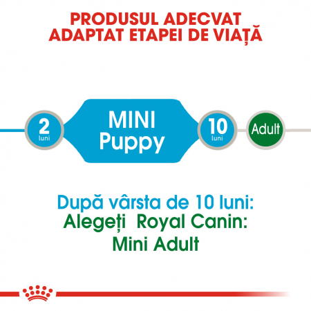 Royal Canin Mini Puppy, plic hrană umedă câini junior (în sos), 12 x 85 g [1]