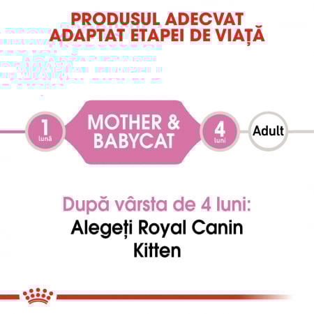 ROYAL CANIN MOTHER & BABYCAT CAN MOUSSE 195 g [1]