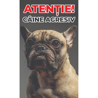 Caini - Placuta avertizare 15x25cmx3mm ''CAINE AGRESIV'' PA-13