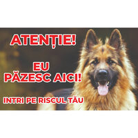 Caini - Placuta avertizare PA-11