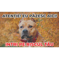 Caini - Placuta avertizare PA-2