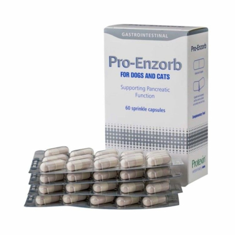 Pisici - Pro-Enzorb, 60 capsule
