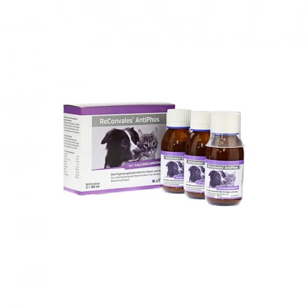 Afectiuni Urinare - RECONVALES ANTI-PHOS, Alfavet, 90ml