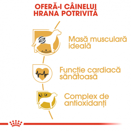 ROYAL CANIN BOXER ADULT 12 kg [2]