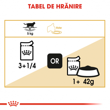 Royal Canin British Shorthair Adult, plic hrană umedă pisici, (în sos), 12 x 85 g [4]