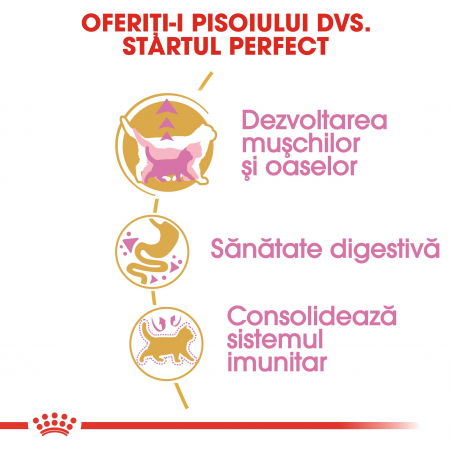 Royal Canin British Shorthair Kitten, hrană uscată pisici junior, 2 kg [3]