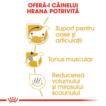ROYAL CANIN DACHSHUND ADULT 1.5 kg [2]