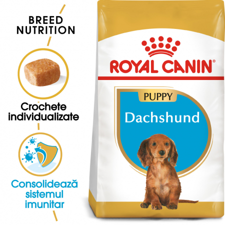 Promotii - ROYAL CANIN DACHSHUND PUPPY 1.5 kg