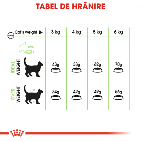 Royal Canin Digestive Care Adult, hrană uscată pisici, confort digestiv, 10 kg [4]