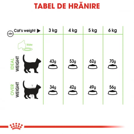 Royal Canin Digestive Care Adult, hrană uscată pisici, confort digestiv, 2 kg [4]