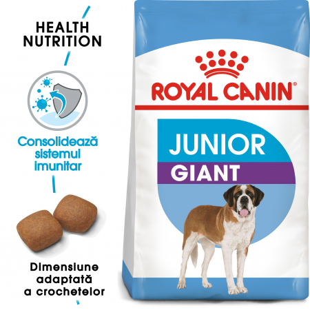 Mancare uscata caine - Royal Canin Giant Junior, hrană uscată câini junior, etapa 2 de creștere, 3.5 kg