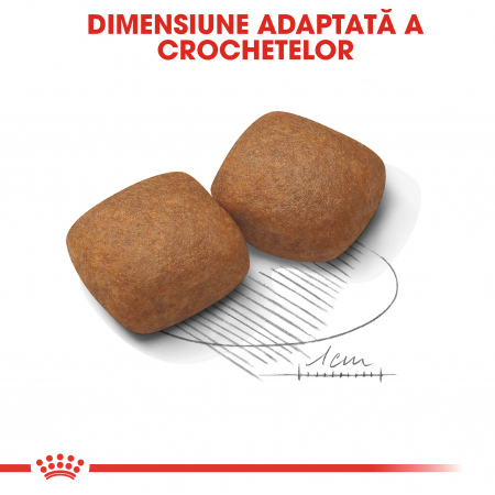 Royal Canin Giant Junior, hrană uscată câini junior, etapa 2 de creștere, 3.5 kg [2]