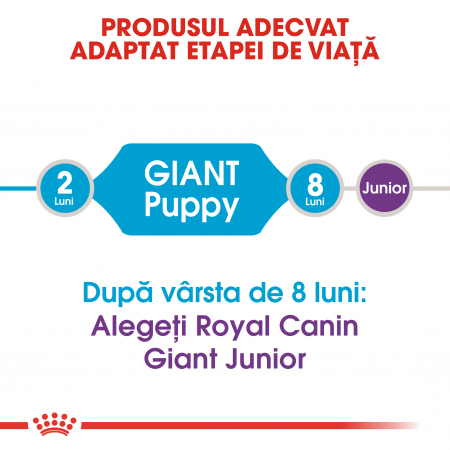 Royal Canin Giant Puppy, hrană uscată câini junior, etapa 1 de creștere , 1 kg [1]