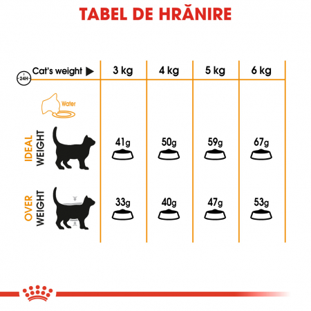 Royal Canin Hair & Skin Care Adult, hrană uscată pisici, piele și blană, 4 kg [5]