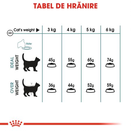 Royal Canin Hairball Care Adult, hrană uscată pisici, limitarea ghemurilor de blană 400 g [5]