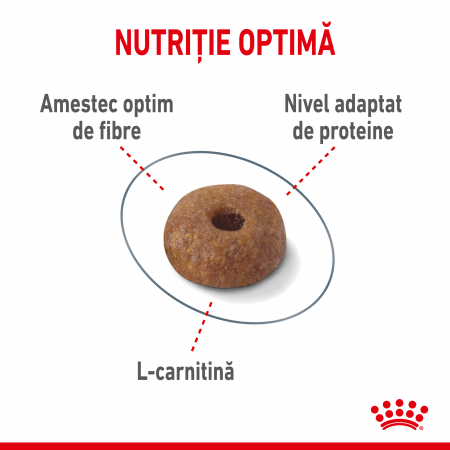 Royal Canin Light Weight Care Adult , hrană uscată pisici, managementul greutății,  400 g [1]