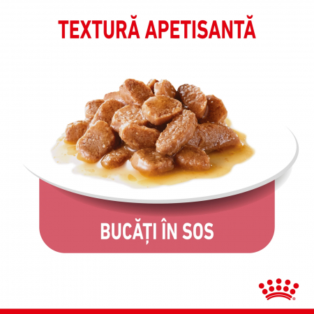 Royal Canin Light Weight Care Adult, plic hrană umedă pisici, managementul greutății, (în sos), 12 x 85G [2]