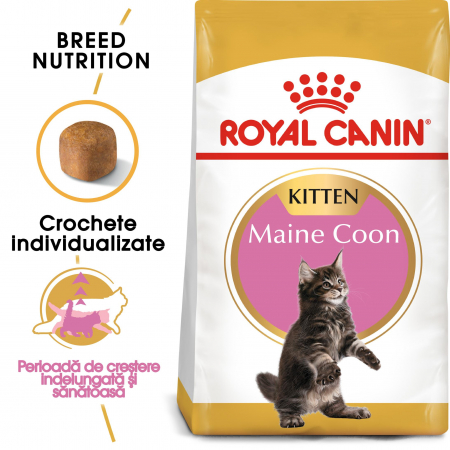 Royal Canin Maine Coon Kitten, hrană uscată pisici junior, 10 kg [0]