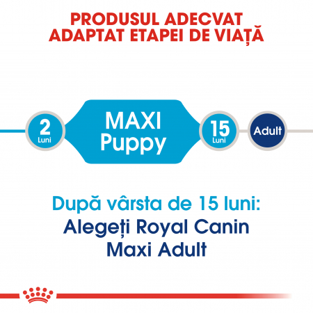 Royal Canin Maxi Puppy, hrană uscată câini junior, 4 kg [1]