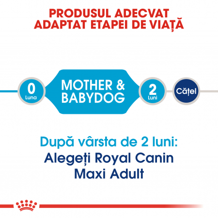 Royal Canin Maxi Starter Mother & BabyDog, mama și puiul, hrană uscată câini, 4 kg [1]