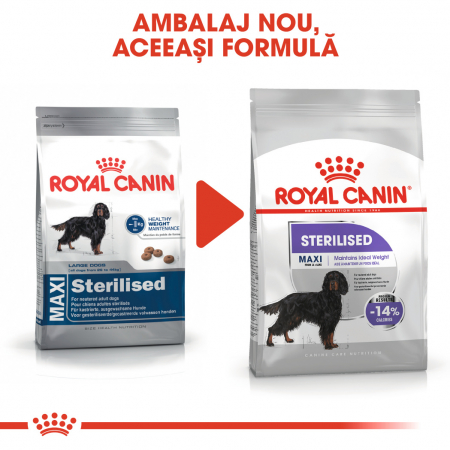 Royal Canin Maxi Sterilised Adult, hrană uscată câini sterilizați, 3KG [1]
