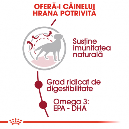 Royal Canin Medium Adult, hrană uscată câini,  4 kg [3]