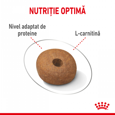 Royal Canin Medium Light Weight Care Adult, hrană uscată câini, managementul greutății,  3KG [2]