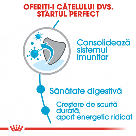 Royal Canin Medium Puppy, hrană uscată câini junior, 4 kg [3]