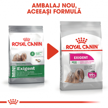 Royal Canin Mini Exigent, hrană uscată câini, apetit capricios, 3KG [1]