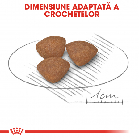 Royal Canin Mini Puppy, hrană uscată câini junior, 2 kg [2]