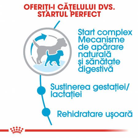 Royal Canin Mini Starter Mother & BabyDog, mama și puiul, hrană uscată câini 1 kg [3]
