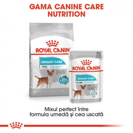 Royal Canin Mini Urinary Care, hrană uscată câini, sănătatea tractului urinar,1KG [4]
