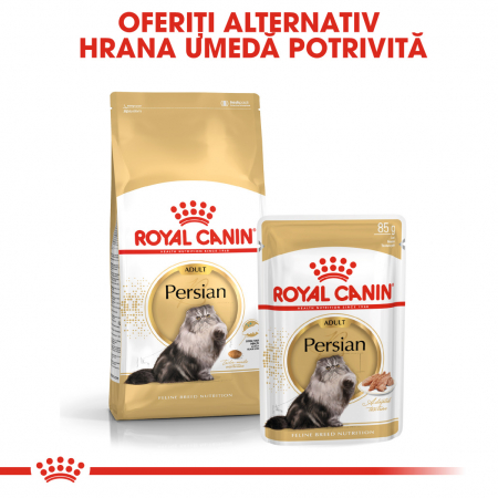 Royal Canin Persian Adult, hrană uscată pisici, 2 kg [3]