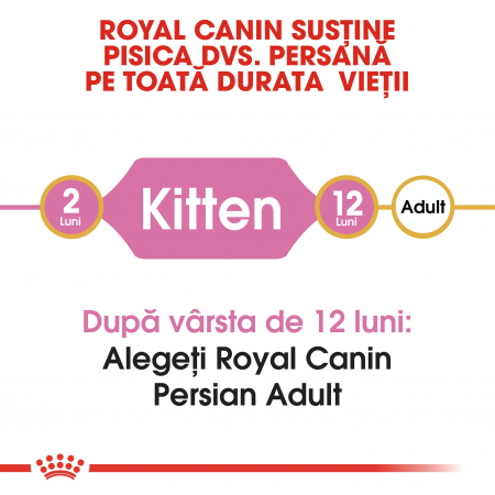Royal Canin Persian Kitten, hrană uscată pisici junior, 10 kg [1]