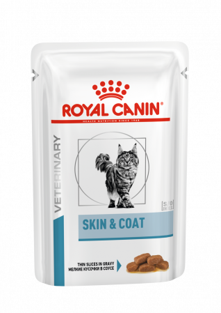 Diete Pisici - ROYAL CANIN Skin & Coat Cat PLIC 85g