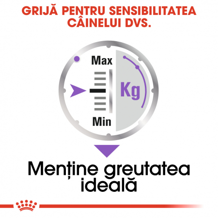 Royal Canin Sterilised Adult, bax hrană umedă câini sterilizați, (pate), 12X85G [3]