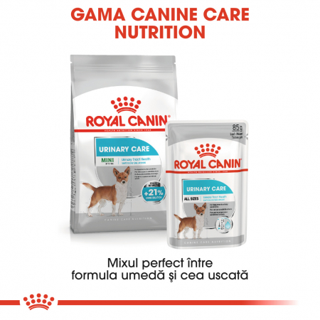 Royal Canin Urinary Care Adult, bax hrană umedă câini, sănătatea tractului urinar, (pate)  12X85G [4]