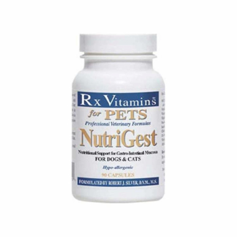Caini - RX NutriGest 90 capsule