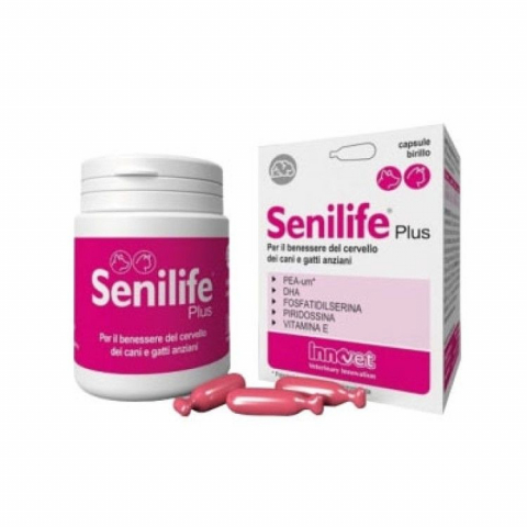 Pisici - Senilife Plus, 30 capsule