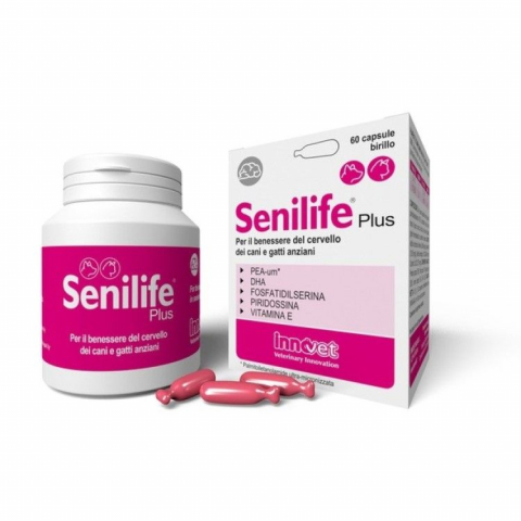 Pisici - Senilife Plus, 60 capsule