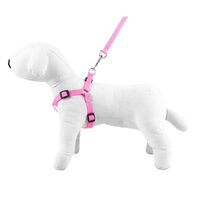 Caini - Set ham/lesa 2 cm SW53