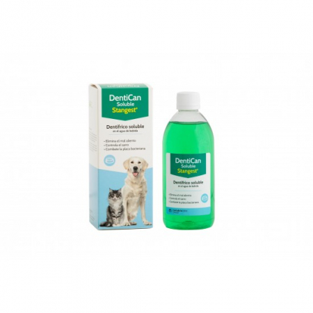 Igiena - Solutie pentru igiena bucala, DENTICAN Solubil, STANGEST, 500ml