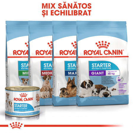 Royal Canin Starter, mama și puiul, conservă hrană umedă câini, (pate) 195 g [4]