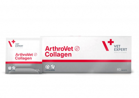 Caini - ArthroVet Collagen II 2.5 g, 60 plicuri Vet Expert