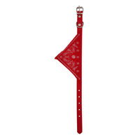 Caini - Zgarda cu bandana 1.5x35 cm PETRO