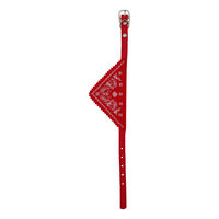 Caini - Zgarda cu bandana 1x30 cm PETRO