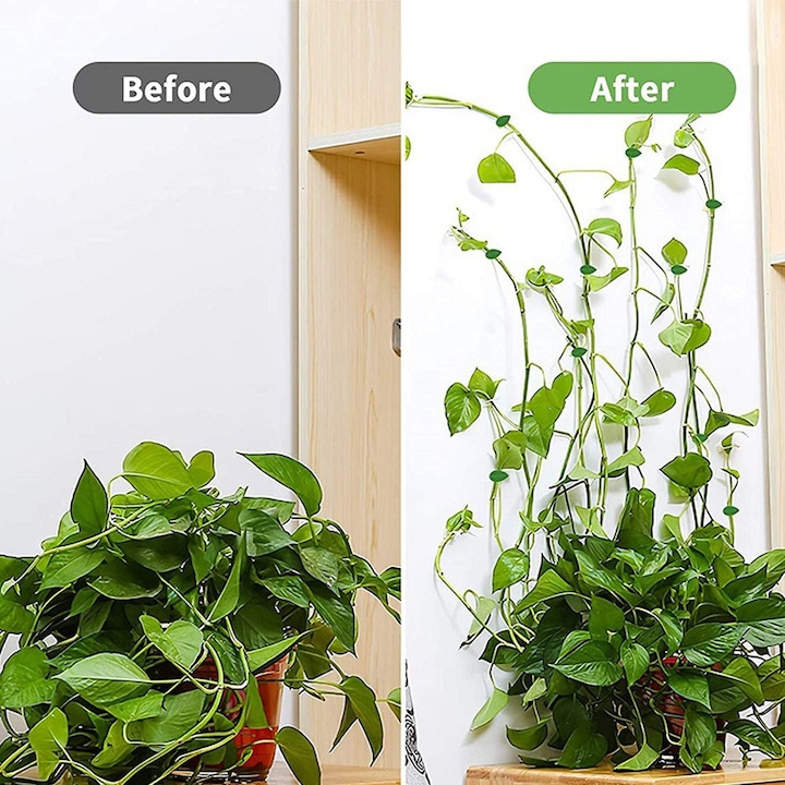 Cleme Agatat Plante Perete, Set 40, Adeziv 3M, Model Frunza si Melc, Verde, Suport plante agatatoare, Reutilizabile [4]